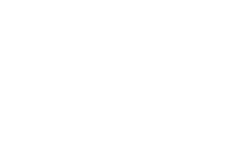 WorldSkills Australia Logo