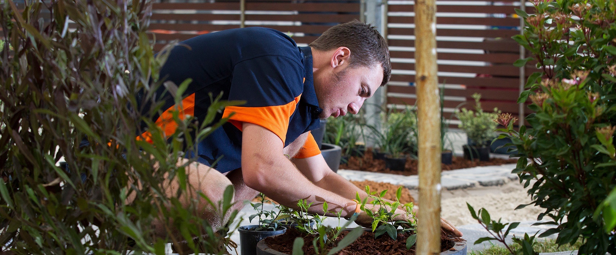 Landscape Construction - WorldSkills Australia