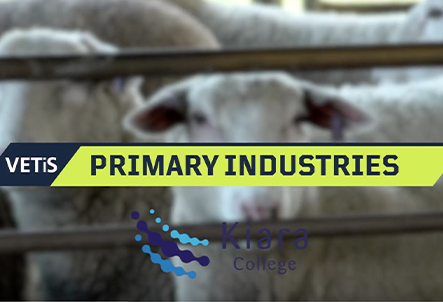 Primary Industries