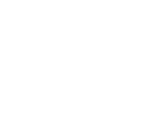 Research Reports
