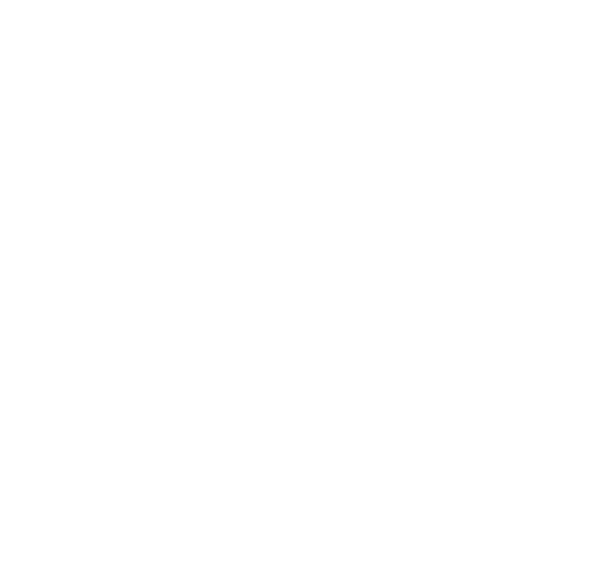 Global Footprint Scholarships 